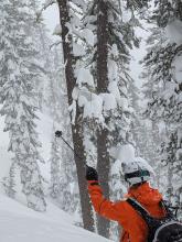 A small natural storm slab avalanche with a crown height of less than one foot.