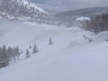 A couple small natural wind slab avalanches along the East Ridge of Tamarack peak.