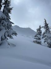 Closer but off to the side of the same large cornice missing a chunk. 