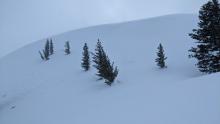 Natural wind slab debris, NE aspect of Pt. 8806' on E Ridge of Stevens Peak, observed 3:30pm on 3/7