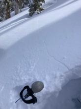 Long shooting cracks off of ski tips while breaking trail.