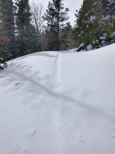 Plenty of skin track refill below treeline from drifting snow this morning.