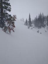 Drifting snow near treeline.