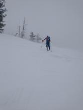 Drifting snow near treeline.