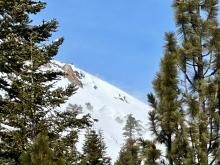 Crown line on east aspect above treeline