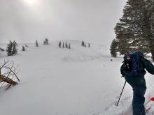 Recent wind slab on northeast aspect above treeline