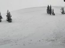 Recent wind slab on northeast aspect above treeline