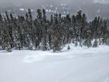 Looking down on the debris and crown from the avalanche I remotely triggered when I stepped off my skis near the top of Andesite.