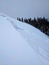 One side of the crown of the avalanche triggered by the cornice pieces falling on the slope. 