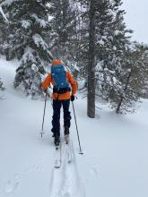 Dense snow supported us and kept us from sinking deeply into the storm snow. 