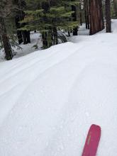 Runnels in thh snow surface indicating water draining through the snowpack at 6500 ft.