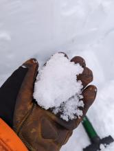 A thick layer of wet snow 3ft below the surface, where grains were still loose and not bonding to each other