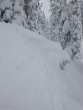 Storm slab, intentionally skier triggered, BTL terrain around 7,800'
