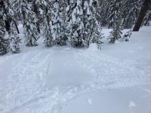 Roller balls and small wet loose avalanche skier triggered on small rollover.