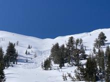 View from bottom of Hourglass avalanche:  Up to 500' long and 75' wide. 