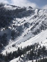Numerous wet snow avalanches 