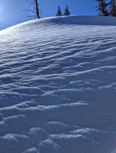 Cold snow above the supportable crust, with some graupel and surface hoar