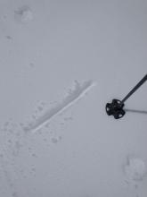 Two inches of surface wet snow on top of supportable crust on S aspect terrain at 12:15 pm near 7,500'.