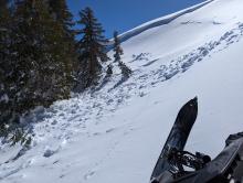 One of several recent avalanches. Alhtough a relatively small slope, this one did pile up high against trees and ran well into the trees