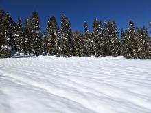 Rain runnels existed on most slopes below 8400 ft. 