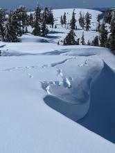 Drooping cornices with tensile cracks far back