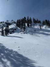 Faint old crowns on the steep slopes above Woods Lake.