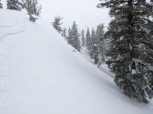 Ski cuts on below treeline terrain producing dry loose avalanches.
