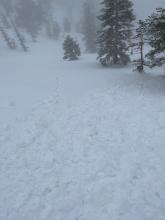 On lower elevation and slightly south facing terrain near noon the new snow was heavy and moving on the old crust in response to ski turns. 