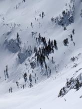 We noticed this skier/snowboarder triggered avalanche from afar, low in the North Bowl of Red Lake peak.