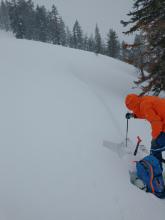 Snowpack tests looking at the buried surface hoar layer on wind loaded NW NTL terrain.