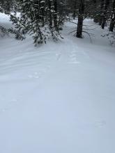 Back at the base, wind had blown enough snow to cover the skin track.