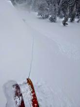 Stepping on this wind-loaded test slope triggered shooting cracks and the avalanche 20 ft away on a steeper part of the slope.