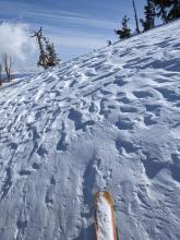 Wind affected snow surfaces existed along the ridges with softer more consistent snow in sheltered areas.