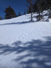 Erosion pattern from moderate to strong NW winds 