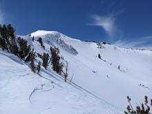 Old crowns in the bowl below Red Lake Peak