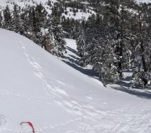 A previous avalanche covered up by last night's 2-4 inches of snow on a sheltered N facing test slope.