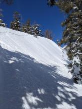 Ski cuts on a sheltered N facing test slope that had previously avalanched cause last night's snow to sluff off of the firm old snow surface.