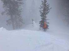 Intense blowing snow in near treeline terrain.