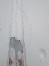 Cracking around skis on uptrack showing storm slab instability.