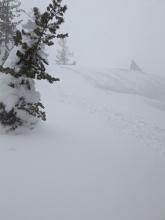 Small wind slab avalanche on small slope near ridgeline.