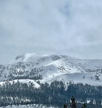 Hard to see in the photo, but there is a large crown in center of image on north bowl of Stevens Peak