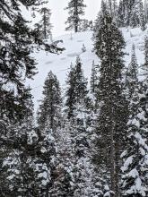 Recent storm slab avalanches on lower Trestle peak.