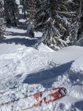 Large pieces of cornice dropped on this test slope did not trigger any wind slab failures. 