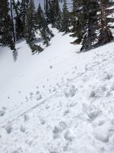 ski cuts triggered rollerballs and pinwheels on sunny slopes by midday.