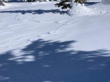 Light wind scouring and wind crusts on N aspects a few hundred feet below ridgeline.