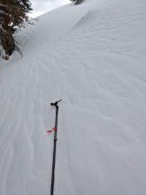 Ripples on the snow surface in near treeline terrain.