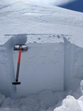 ECTN on a NE-facing wind-loaded test slope.