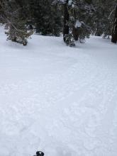 Shallow wet loose avalanche in NE aspect terrain at 7,800'.