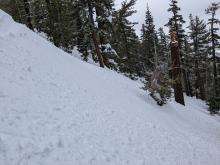 Shallow wet loose avalanche in NE aspect terrain at 7,800'.