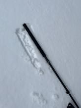 Very little new snow accumulated on Flagpole. This was one of the deeper areas I encountered with 1-2 inches. 